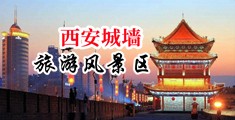 鸡巴捅美女网站中国陕西-西安城墙旅游风景区