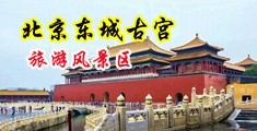 黄色录像尻我骚逼中国北京-东城古宫旅游风景区